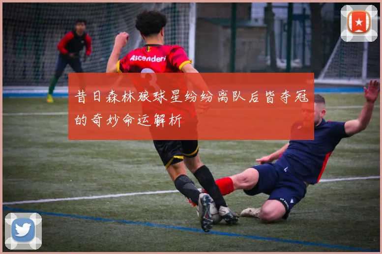 昔日森林狼球星纷纷离队后皆夺冠的奇妙命运解析